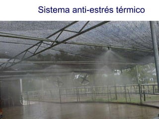 Sistema anti-estrés térmico 
