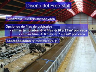 Diseño del Free-stall Superficie      7 a 11 m ² por vaca Sobrepoblación     máximo  10% (*) Opciones de filas de cubículos: - climas templados     4 filas   10 a 11 m ² por vaca - climas fríos    6 filas    7 a 8 m2 por vaca  