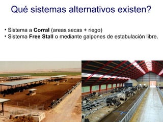 Qué sistemas alternativos existen? Sistema a  Corral  (areas secas + riego) Sistema  Free Stall  o mediante galpones de estabulación libre. 