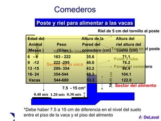 122 cm 30-40 cm 7.5  - 15 cm* Poste y riel para alimentar a las vacas Sector de la vaca Sector del alimento Riel de 5 cm del tornillo al poste Tuerca o tope en el poste Poste o tubo Pared del comedero *Debe haber 7.5 a 15 cm de diferencia en el nivel del suelo entre el piso de la vaca y el piso del alimento 10 – 15 cm (max) 0.30 mts 1.20 mts 0.40 mts Comederos 6  - 8  163 - 222  35.6  71.1  9  -12  222 -295  40.6  76.2  13 -15  295- 354  43.2  86.4 16- 24  354-544  48.3  104.1 Vacas  544-680  53.3  122.0  Edad del  Altura de la  Altura del Animal  Peso  Pared del  riel altura del (Meses )  (Kilos )  comedero (cm)  cuello (cm) 