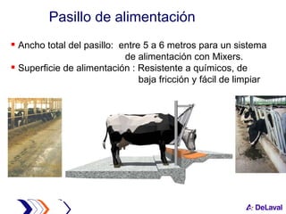 Ancho total del pasillo:  entre 5 a 6 metros para un sistema  de alimentación con Mixers.  Superficie de alimentación : Resistente a químicos, de   baja fricción y fácil de limpiar Pasillo de alimentación 