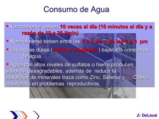 Consumo de Agua  Normalmente  beben  10 veces al día (10 minutos al día y a  razón de 10 a 20 l/min) Normalmente beben entre las  7 a 9 am y de las 6 a 8  pm Las aguas duras ( calcio y magnesio ) bajan los consumos  de agua. Agua con altos niveles de sulfatos o hierro producen  sabores  desagradables, además de  reducir la  absorción de minerales traza como Zinc, Selenio y  Cobre, resultando en problemas  reproductivos. 