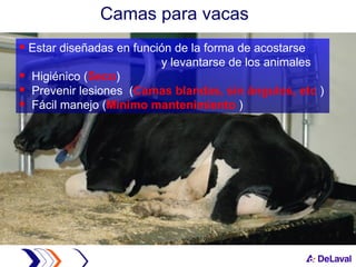 Estar diseñadas en función de la forma de acostarse  y levantarse de los animales  Higiénico ( Seco ) Prevenir lesiones  ( Camas blandas, sin ángulos, etc  ) Fácil manejo ( Mínimo mantenimiento  )  Camas para vacas 