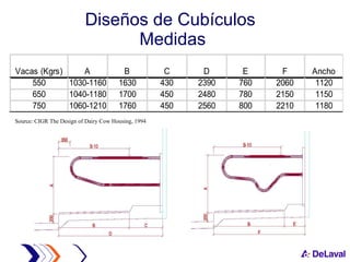 Diseños de Cubículos  Medidas Source: CIGR The Design of Dairy Cow Housing, 1994 