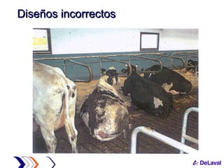 Diseños incorrectos 