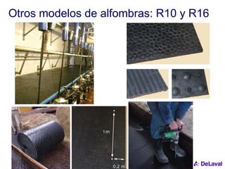 Otros modelos de alfombras: R10 y R16 
