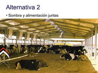 Alternativa 2 Sombra y alimentación juntas 