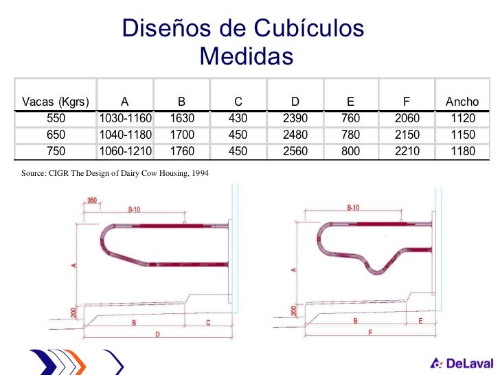 Presentacion Camoletto