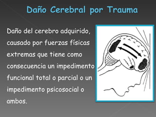 Daño del cerebro adquirido, causado por fuerzas físicas extremas que tiene como consecuencia un impedimento funcional total o parcial o un impedimento psicosocial o ambos. 