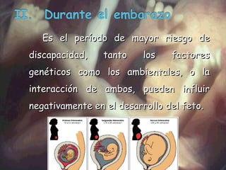 Es el período de mayor riesgo de discapacidad, tanto los factores genéticos como los ambientales, o la interacción de ambos, pueden influir negativamente en el desarrollo del feto. 