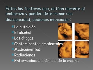 La nutrición El alcohol Las drogas Contaminantes ambientales Medicamentos Radiaciones Enfermedades crónicas de la madre 