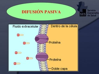 DIFUSIÓN PASIVA 