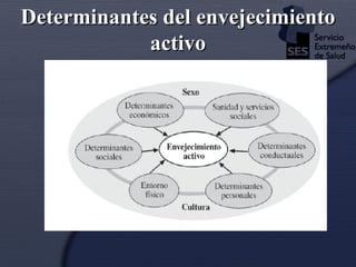Determinantes del envejecimiento activo 