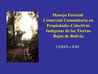 Manejo Forestal  Comercial Comunitario en Propiedades Colectivas Indígenas de las Tierras Bajas de Bolivia   CERES e IFRI   