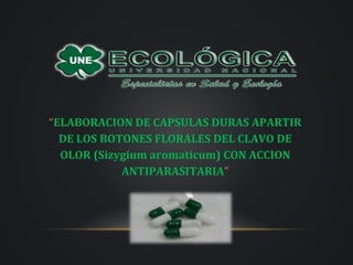“ELABORACION DE CAPSULAS DURAS APARTIR
DE LOS BOTONES FLORALES DEL CLAVO DE
OLOR (Sizygium aromaticum) CON ACCION
ANTIPARASITARIA”
 