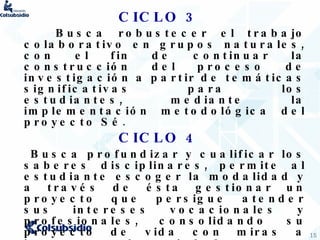 CICLO 3 Busca robustecer el trabajo colaborativo en grupos naturales, con el fin de continuar la construcción del proceso de investigación a partir de temáticas significativas para los estudiantes, mediante la implementación metodológica del proyecto Sé .   CICLO 4 Busca profundizar y cualificar los saberes disciplinares, permite al estudiante escoger la modalidad y a través de ésta gestionar un proyecto que persigue atender sus intereses vocacionales y profesionales, consolidando su proyecto de vida con miras a integrarse a la sociedad.   