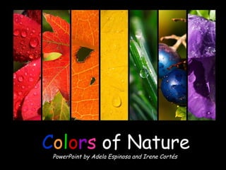 C o l o r s   of Nature PowerPoint by Adela Espinosa and Irene Cortés 