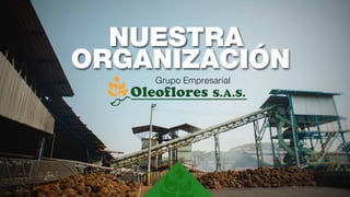 NUESTRA
ORGANIZACIÓN
Grupo Empresarial
 
