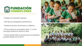 FUNDEFLORES
• Colegio con educación agricola.
• 250 hijos de trabajadores beneficiarios.
• Grados de primero de primaria a undécimo.
• Primer puesto en las pruebas saber 11 a nivel
municipal durante los últimos 5 años.
• Premio andrés bello en quimica para el estudiante
jonathan Bolaños en el 2013.
FUNDACIÓN
 