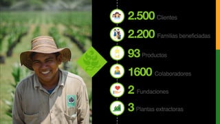 Clientes2.500
Familias beneficiadas2.200
Productos93
Colaboradores1600
Fundaciones2
Plantas extractoras3
 