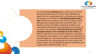 Las tierras no son utilizadas para cumplir con la función
que tradicionalmente han tenido. Sólo el 22.7% de la
superficie con vocación agrícola es utilizada para cultivos.
De acuerdo con el PNUD “la actividad ganadera dedica
39,2 millones de hectáreas, pero solo 21 millones de las
utilizadas tiene aptitud para esta actividad” (Ibíd.: 37).
Además nuevas actividades extractivas compiten con
actividades tradicionales que responden a la vocación de
las tierras. Por ejemplo, el 42% del total de la inversión
extranjera directa se ha orientado al sector minero. En
2010 la superficie que se contrató rebasó las 5,8 millones
de hectáreas, área superior a las extensiones dedicadas a la
actividad agrícola. Los biocombustibles, producidos gracias
a la expansión de cultivos de caña de azúcar y palma de
aceite, cubren más de 500.000 hectáreas compitiendo con
la agricultura tradicional (Ibíd.: 41-2).
13
 