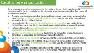 Sustitución y erradicación
Se promueve la sustitución voluntaria de cultivos de uso ilícito mediante la
transformación de las condiciones de bienestar para las comunidades. Por tanto, el
acuerdo contempla:
a. Trabajar con las comunidades, las autoridades departamentales y municipales
para integrar territorial y socialmente las zonas que se han visto relegadas a
sobrevivir de los cultivos ilícitos.
b. La suscripción de acuerdos de sustitución y no resiembra por parte de las
comunidades y la puesta en marcha de procesos de planeación participativa.
c. La formulación de planes integrales municipales y comunitarios de
sustitución y desarrollo alternativo.
d. Un plan de atención inmediata y desarrollo de proyectos productivos para
garantizar la seguridad alimentaria de los cultivadores.
e. Un Programa de Desminado para garantizar la seguridad de las comunidades.
f. En zonas donde los cultivadores no quieran participar en estos programas el
gobierno priorizará la erradicación manual (en vez de aérea) de cultivos hasta
donde sea posible.
g. Esto está conectado con el acuerdo sobre la Política de Desarrollo
Agrario, lo que demuestra la naturaleza integral de la negociación 20
 