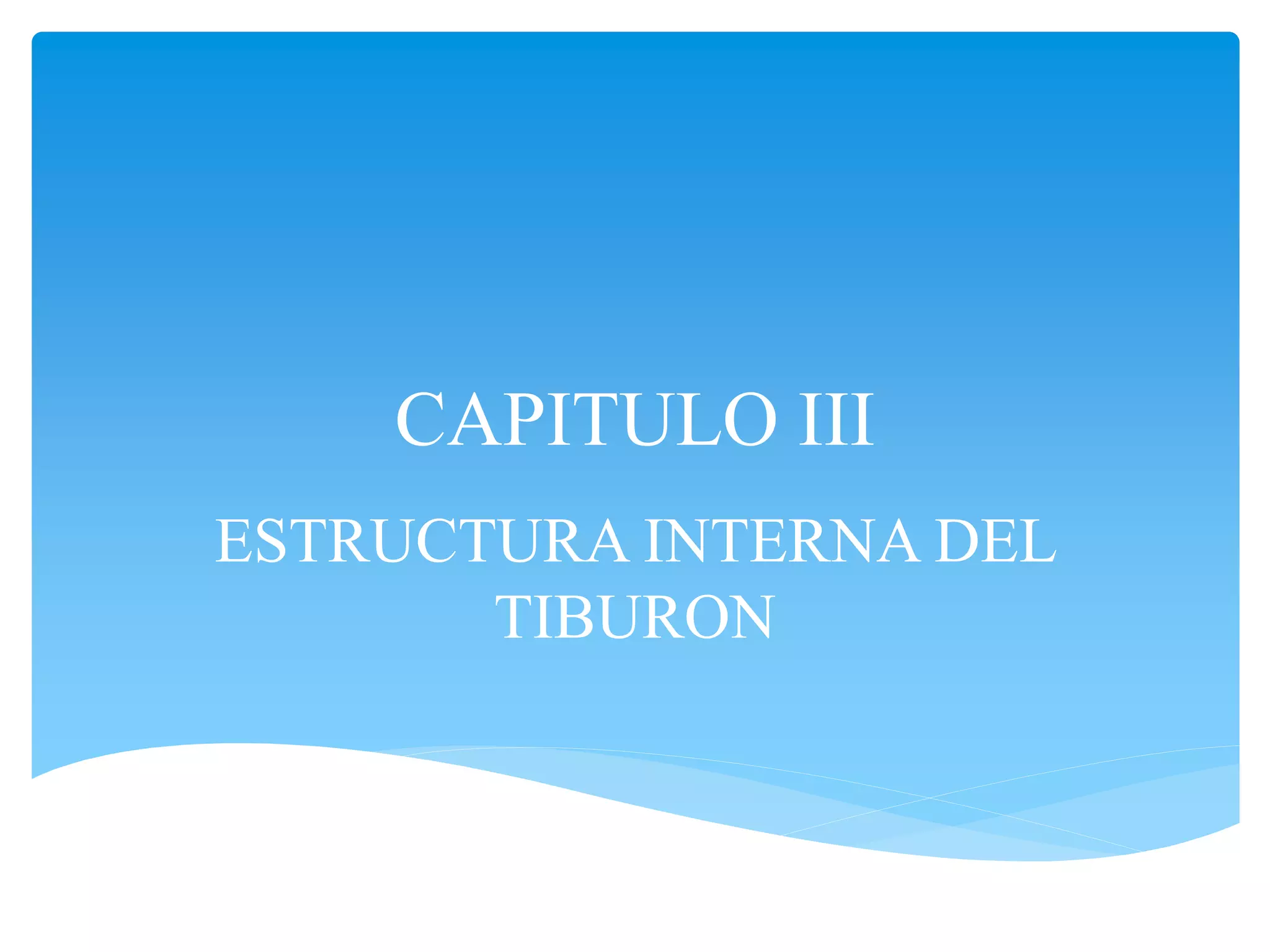 CAPITULO III
ESTRUCTURA INTERNA DEL
TIBURON
 