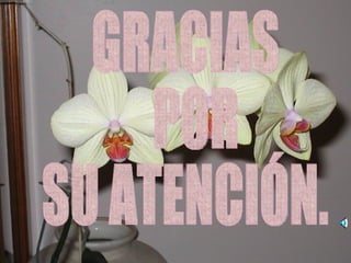 GRACIAS POR  SU ATENCIÓN.  