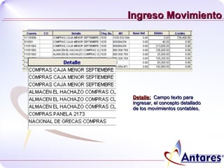 Ingreso Movimiento Detalle:   Campo texto para ingresar, el concepto detallado de los movimientos contables. 