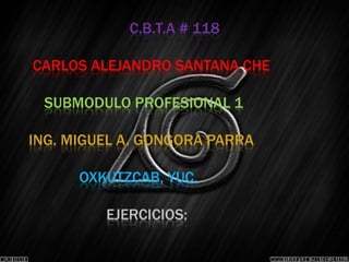 C.B.T.A # 118

CARLOS ALEJANDRO SANTANA CHE

 SUBMODULO PROFESIONAL 1

ING. MIGUEL A. GONGORA PARRA

      OXKUTZCAB, YUC.

         EJERCICIOS:
 