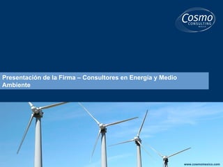 Presentación de la Firma – Consultores en Energía y Medio Ambiente 
