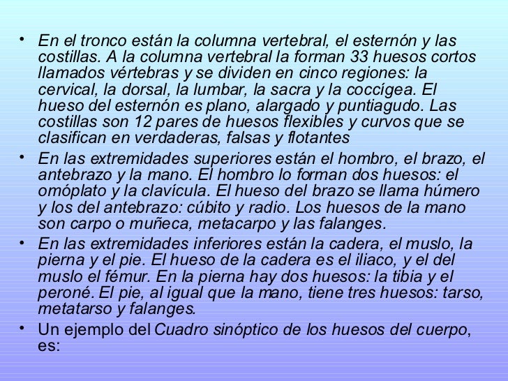 <ul><li>En el tronco están la columna vertebral, el esternón y las costillas. A la columna vertebral la forman 33 huesos c...