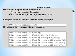 EJERCICIO
RECUPERACIÓN A NIVEL DE BLOQUES
Detectando bloques de datos corruptos:
Archivo de Alertas de alertas
V$DATABAS...
