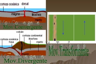 Mov.Convergente Mov.Divergente Mov.Transformante 