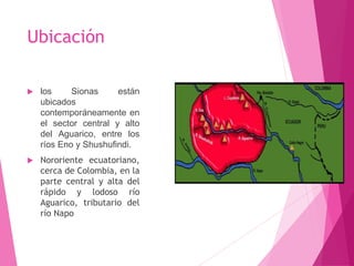 Ubicación
 los Sionas están
ubicados
contemporáneamente en
el sector central y alto
del Aguarico, entre los
ríos Eno y Shushufindi.
 Nororiente ecuatoriano,
cerca de Colombia, en la
parte central y alta del
rápido y lodoso río
Aguarico, tributario del
río Napo
 