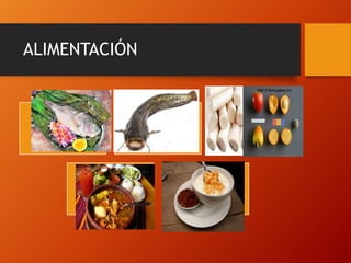 ALIMENTACIÓN
 