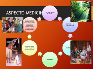 ASPECTO MEDICINALCASCADA, SELVA,
EL TIGRE
LIGADAS A LA
NATURALEZA
CURANDEROS
SHAMANES
sangre de drago,
aceite de palma,
canela, ishpingo.
Un dispensario
médico funciona
en Curaray Centro
equipado con
sistema de
paneles solares
para generación
de electricidad.
 