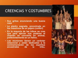 CREENCIAS Y COSTUMBRES
• Sus gritos anunciando una buena
caza
• La piedra sagrada, encontrada en
los intestinos de un pájaro (colibrí)
• En la mayoría de las tribus se cree
que para ejercer sus poderes el
chamán se convierte en animal,
preferentemente en un felino.
• Las reuniones tienen un carácter
estacional y están dedicadas a la
conmemoración de los espíritus
ancestrales de la tribu.
 