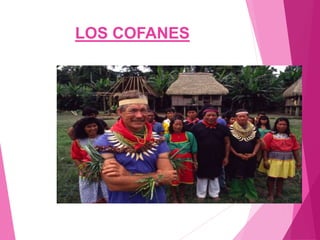 LOS COFANES
 