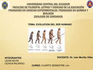 UNIVERSIDAD CENTRAL DEL ECUADOR
FACULTAD DE FILOSOFIA, LETRAS Y CIENCIAS DE LA EDUCACIÓN
PEDAGOGÍA EN CIENCIAS EXPERIMENTALES, PEDAGOGÍA EN QUÍMICA Y
BIOLOGÍA
ZOOLOGÍA DE CORDADOS
TEMA: EVOLUCION DEL SER HUMANO
INTEGRANTES
LEON KEVIN
OCHOA RICARDO
DOCENTE: Dr. Iván Morillo Villarr
CURSO: CUARTO SEMESTRE «A»
 