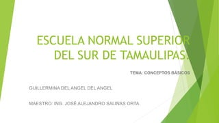 ESCUELA NORMAL SUPERIOR
DEL SUR DE TAMAULIPAS.
TEMA: CONCEPTOS BÁSICOS
GUILLERMINA DEL ANGEL DEL ANGEL
MAESTRO: ING. JOSÉ ALEJANDRO SALINAS ORTA
 