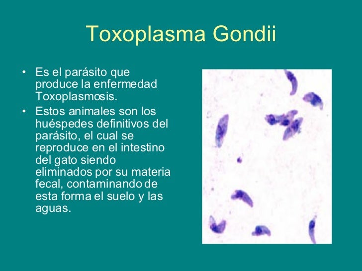 Las pastillas de las lombrices de la persona las revocaciones