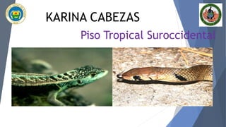 Piso Tropical Suroccidental
KARINA CABEZAS
 