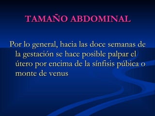 TAMAÑO ABDOMINAL Por lo general, hacia las doce semanas de la gestación se hace posible palpar el útero por encima de la sínfisis púbica o monte de venus   