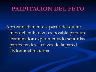 PALPITACION DEL FETO Aproximadamente a partir del quinto mes del embarazo es posible para un examinador experimentado sentir las partes fetales a través de la pared abdominal materna   