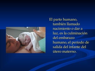 El parto humano, también llamado nacimiento o dar a luz, es la culminación del embarazo humano, el período de salida del infante del útero materno.   