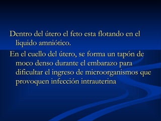 Dentro del útero el feto esta flotando en el liquido amniótico. En el cuello del útero, se forma un tapón de moco denso durante el embarazo para dificultar el ingreso de microorganismos que provoquen infección intrauterina   
