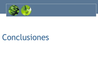 Conclusiones 