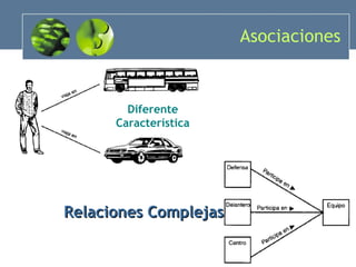 Asociaciones Diferente Característica Relaciones Complejas 