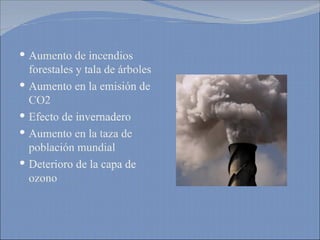 Aumento de incendios forestales y tala de árboles Aumento en la emisión de CO2 Efecto de invernadero Aumento en la taza de población mundial Deterioro de la capa de ozono 